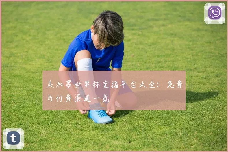 美加墨世界杯直播平台大全：免费与付费渠道一览