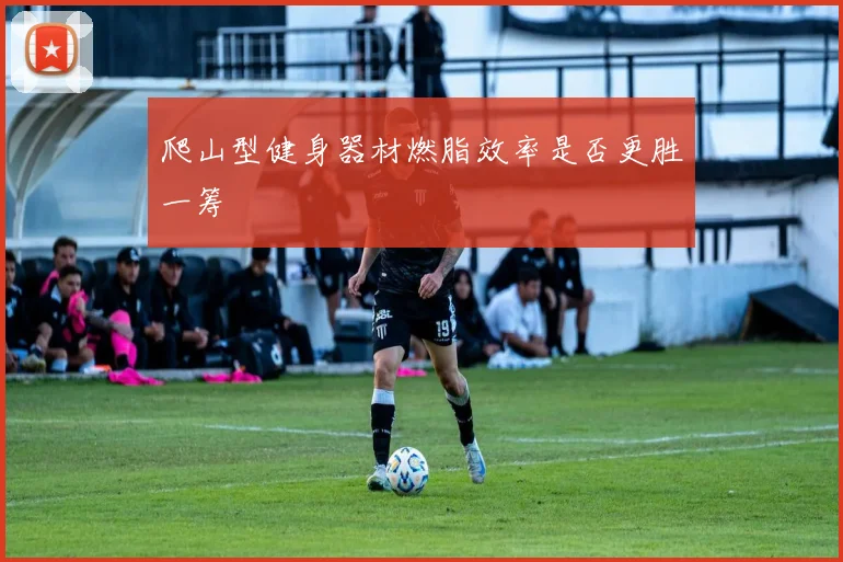 爬山型健身器材燃脂效率是否更胜一筹