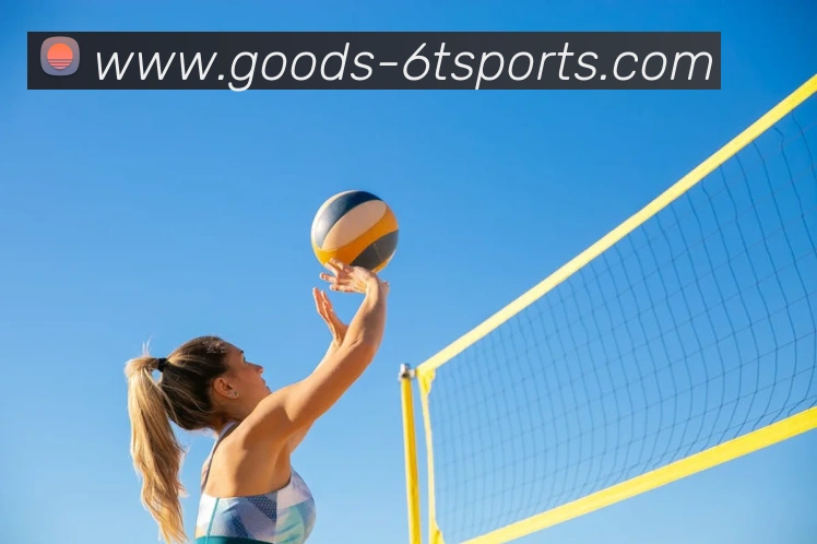 6T体育服务体系